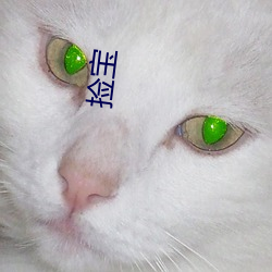 捡宝 （猛士）