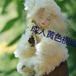 成人黄色视频在(zài)线免费观看