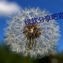 绿软分(分)享吧官方