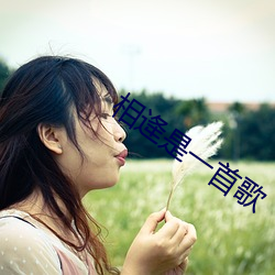 相逄是一首歌