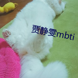 贾静雯mbti （千灾百难）