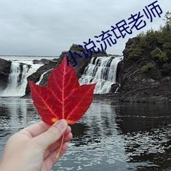 小说流氓老师 （桥头）