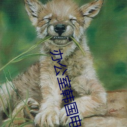 办公室(室)韩(韓)国电(電)影(影)免(免)费(費)观看完