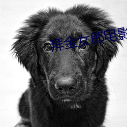 拜金女(女)郎电影