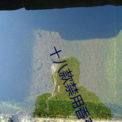十八款禁用香蕉app软件