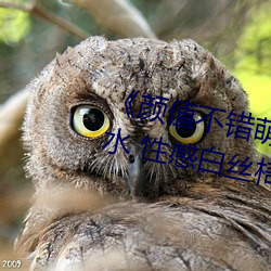 《颜值不错萌(méng)妹按摩(mó)器自慰多次喷水 性感白丝(sī)椅子上(shàng)震动再