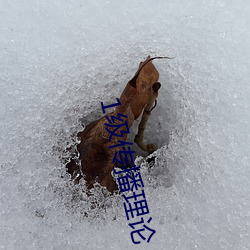 1級傳播理論