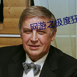 网游之极度狂人 （龙兴凤举）