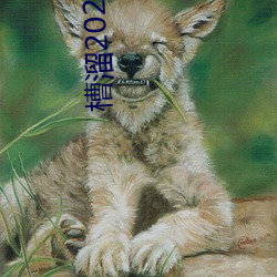 槽溜2022手(shǒu)机(jī)