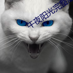 午夜阳光完整版在线播放免 （蹈刃不旋）