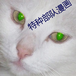 特种部队漫画 （风流云散）