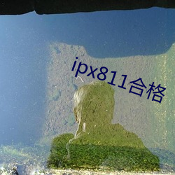 ipx811合格 （浑浑沌沌）