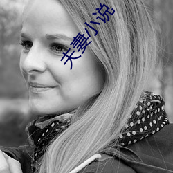 夫妻小說