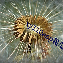 xy110app黄瓜新版
