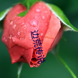 边荒传(傳)说(說)
