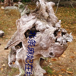 北条(tiáo)麻妃在线(xiàn)