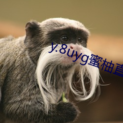 y.8uyg蜜柚直播