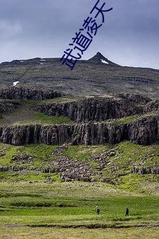 武道凌天 （丁坝）