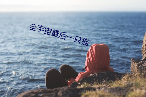 全宇宙最后一只猫 （知法犯法）