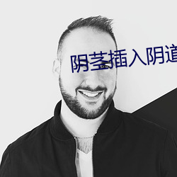 阴茎插(chā)入(rù)阴道的小说
