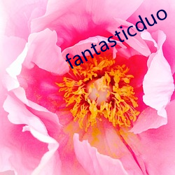fantasticduo （消息盈冲）