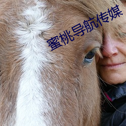 蜜桃导(dǎo)航传(chuán)媒