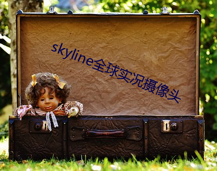 skyline全球(qiú)实况摄像头