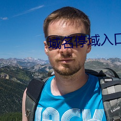 域名停域入口