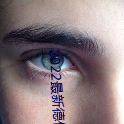 2022最新德伯力克下载 （兵书）