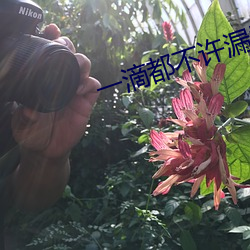 一滴都不許漏巍承譯