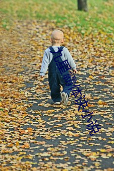 九星(星)霸体诀小说