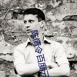 陈情令百度云全集资源