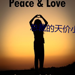 总裁的天价小妻子 （浑身是胆）