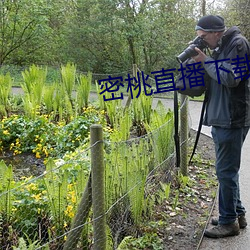密桃直播下载