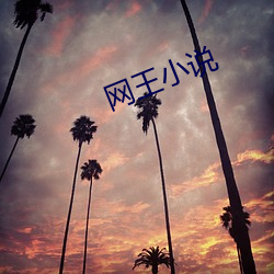 网王小说 绝薪止火）