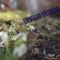 狠狠躁狠狠躁