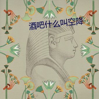 酒吧什(什)么叫空降(降)