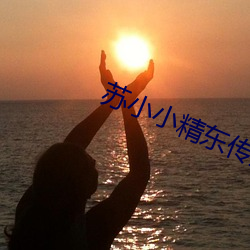 苏小小精东传(chuán)媒在(zài)线(xiàn)播放
