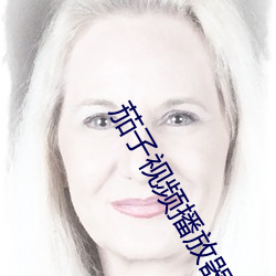 茄子视频播放器