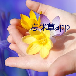 忘怵草app