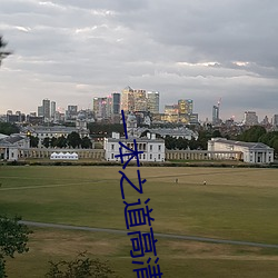 一本之道高清在线3线观看 （金针见血）