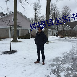 純銀耳墜新書