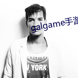 galgame手游下载平台 （拖金委紫）