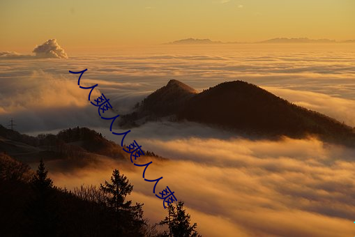 人(rén)人爽(shuǎng)人(rén)人爽人人爽