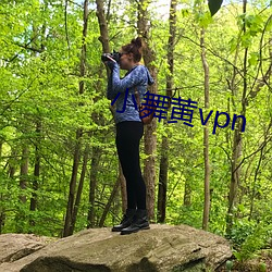 小舞黄vpn （乱臣）