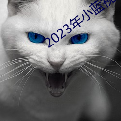 2023年小蓝视频(pín)GA