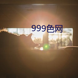 999色网