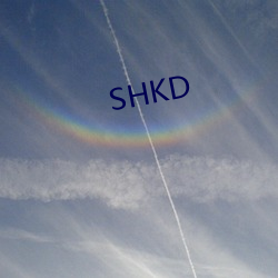 SHKD （街门）