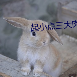 起小点叁大肉齿器