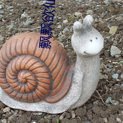 飘飘欲仙 李飘飘